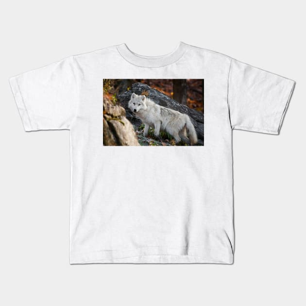 Arctic Wolf Kids T-Shirt by jaydee1400